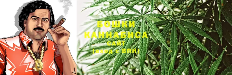 Марихуана THC 21%  Вятские Поляны 